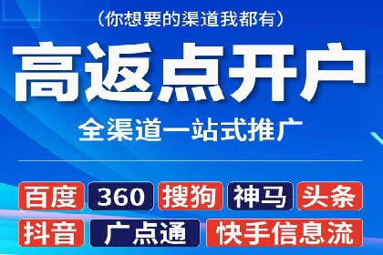 竞价广告的投放策略调整：基于数据反馈的实战案例